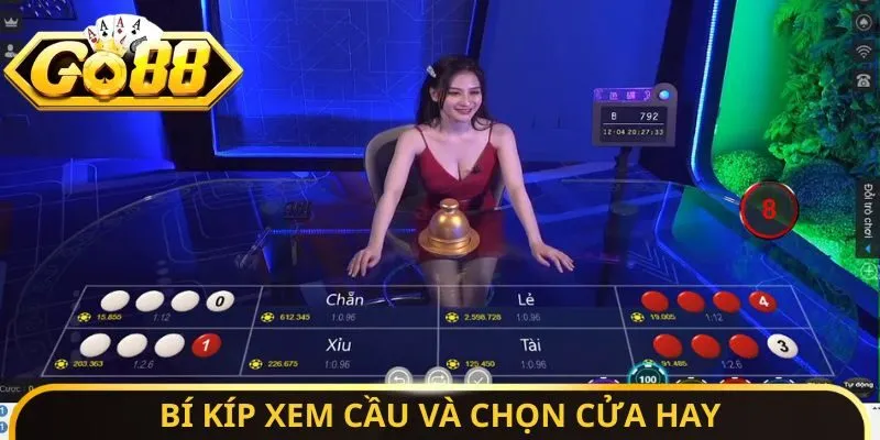Bí kíp xem cầu và chọn cửa hay