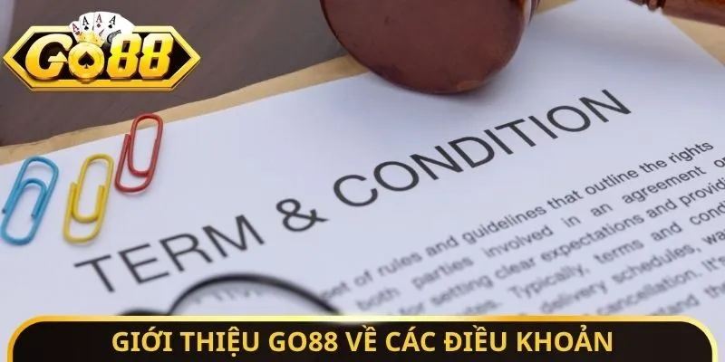 Giới Thiệu Go88 - Quyền Lợi Đặc Biệt Cần Phải Tận Dụng 3 Sunwin Giới thiệu Go88 về các điều khoản
